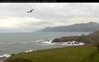 Inn of the Lost Coast, Shelter Cove